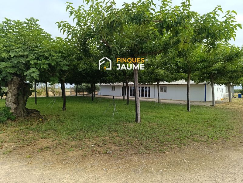 Parcela en venta Almacelles, Lleida. Ref: 1135. Finques Jaume Immobiliària 