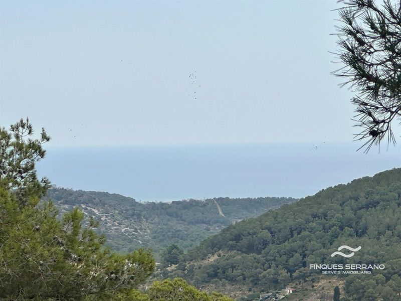 Parcela en venta Castellet I La Gornal, Barcelona. Ref: 2121. Finques Serrano