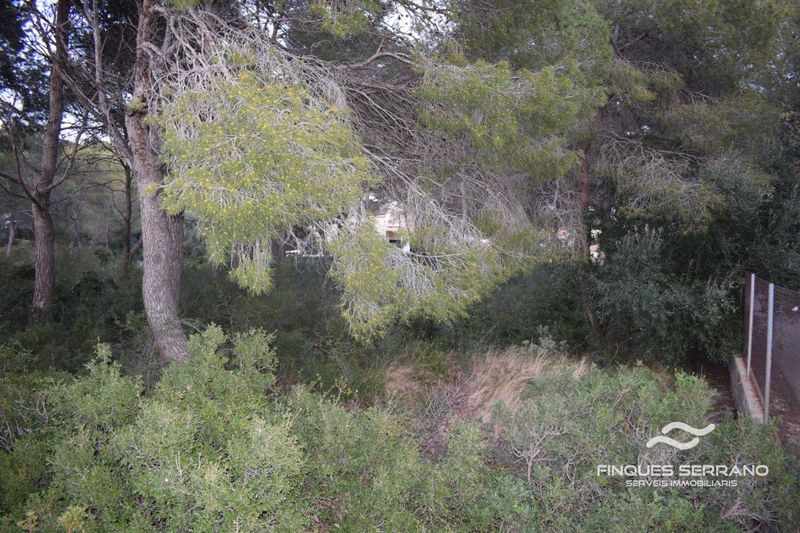 Parcela en venta Cunit, Tarragona. Ref: 2286. Finques Serrano