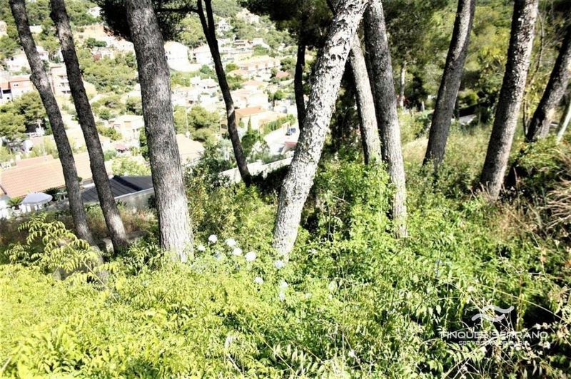 Parcela en venta Cubelles, Barcelona. Ref: 2332. Finques Serrano