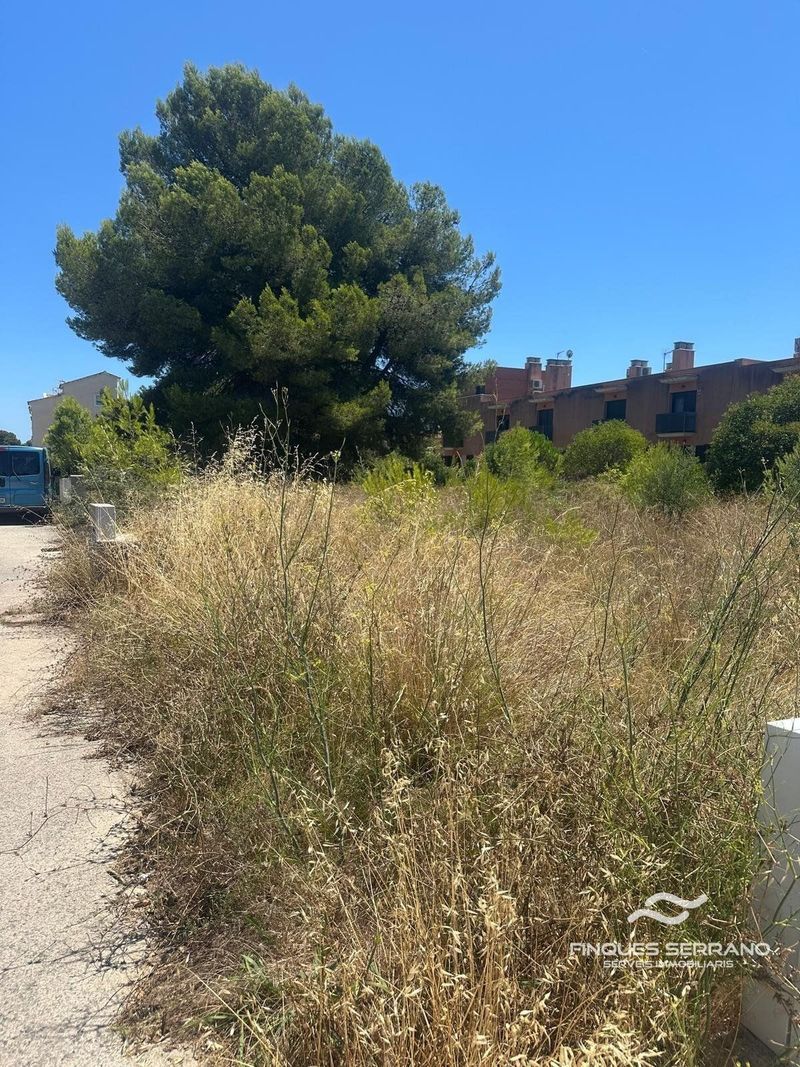 Parcela en venta El Vendrell, Tarragona. Ref: 2561. Finques Serrano