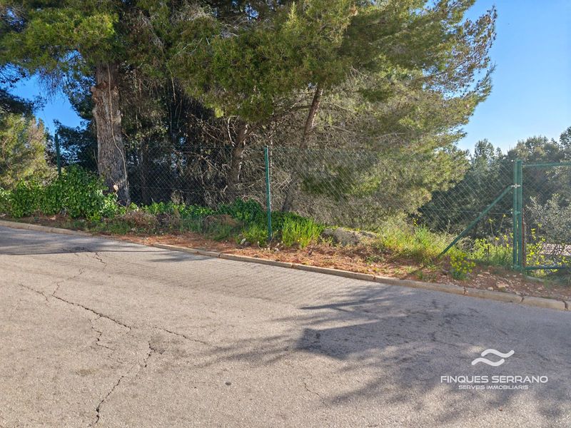 Parcel·la urbana en venda La Bisbal del Penedes, Tarragona. Ref: 2739. Finques Serrano