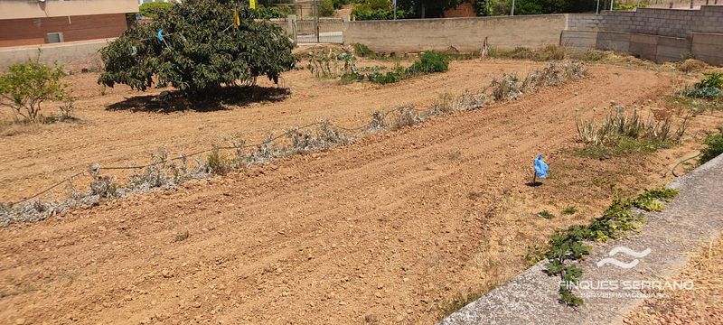 Terrain constructible en vente Masllorenç, Tarragona. Ref: 2955. Finques Serrano