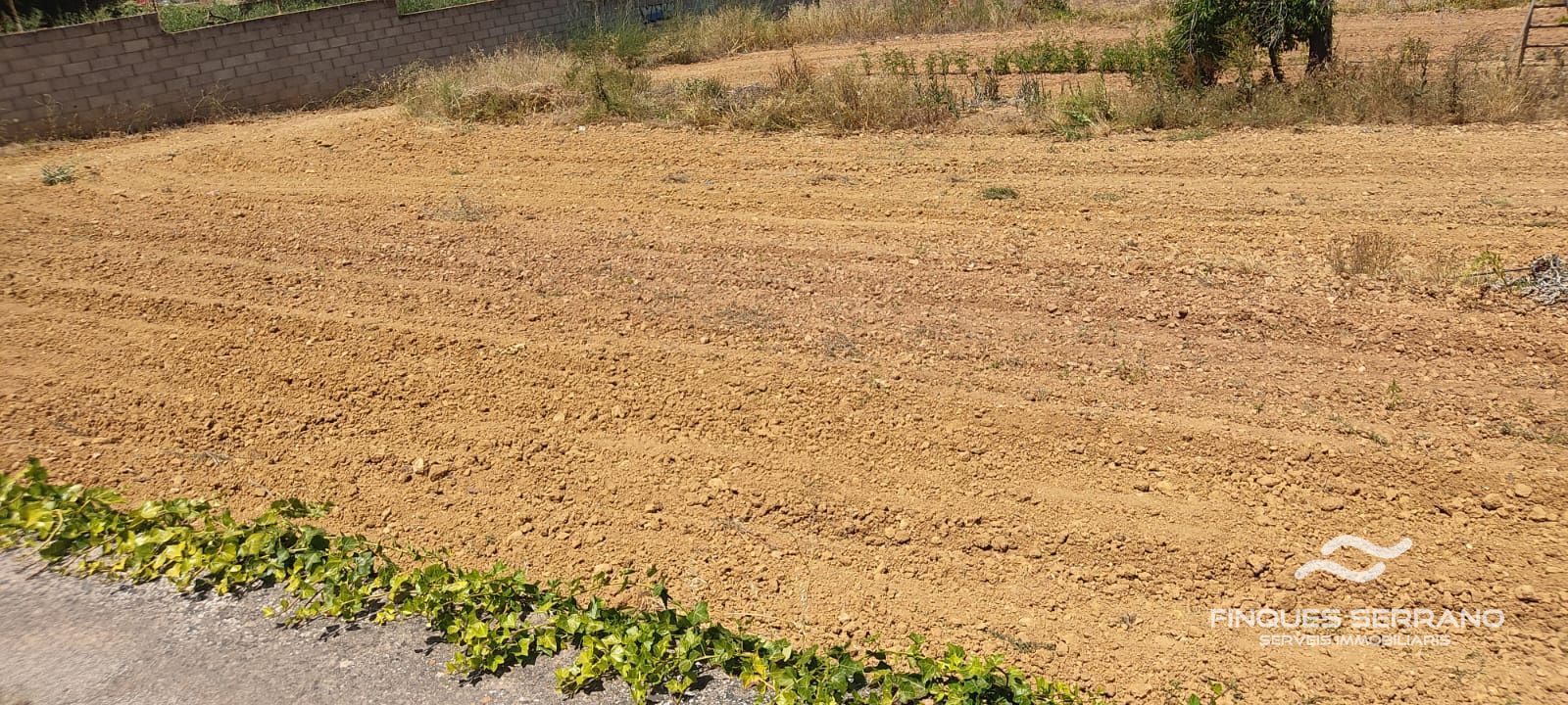 Baugrundstück zu verkaufen in Masllorenç, Tarragona - Foto 3
