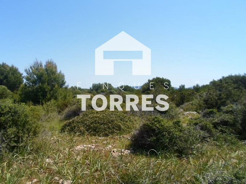 Parcela en venta Ciutadella de Menorca, Baleares. Ref: 1078. Finques Torres