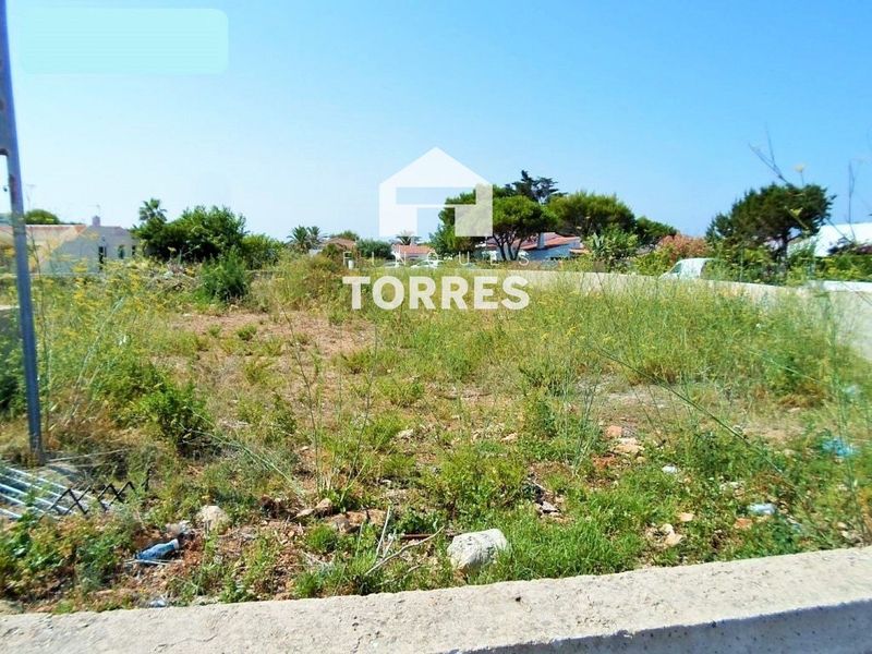 Parcela en venta Ciutadella de Menorca, Baleares. Ref: 1297. Finques Torres