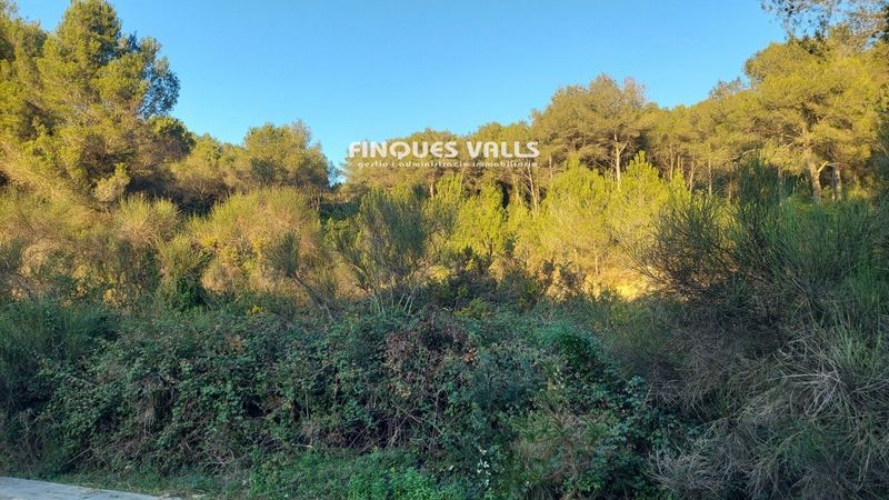 Parcela en venta Calafell, Tarragona. Ref: 1256. Finques Valls