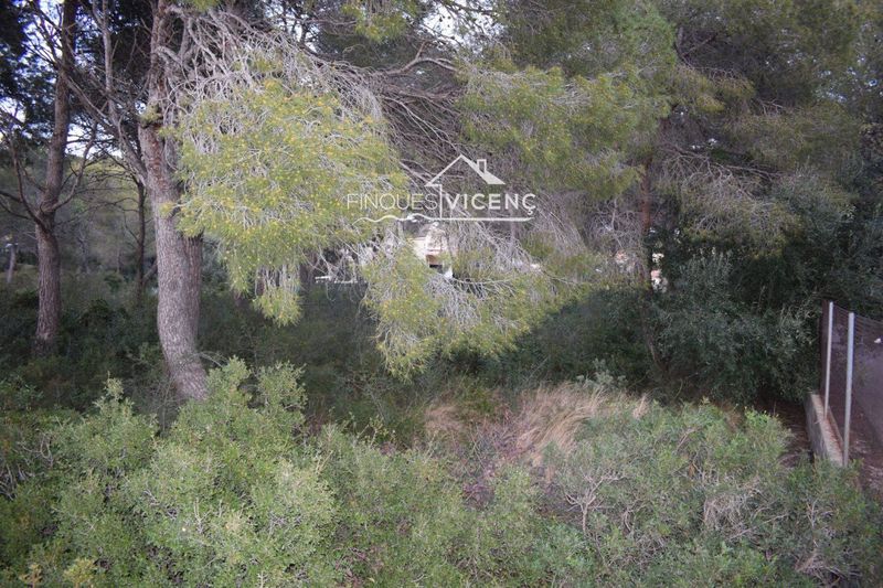 Parcelle en vente Cunit, Tarragona. Ref: 2267. Finques Vicenç