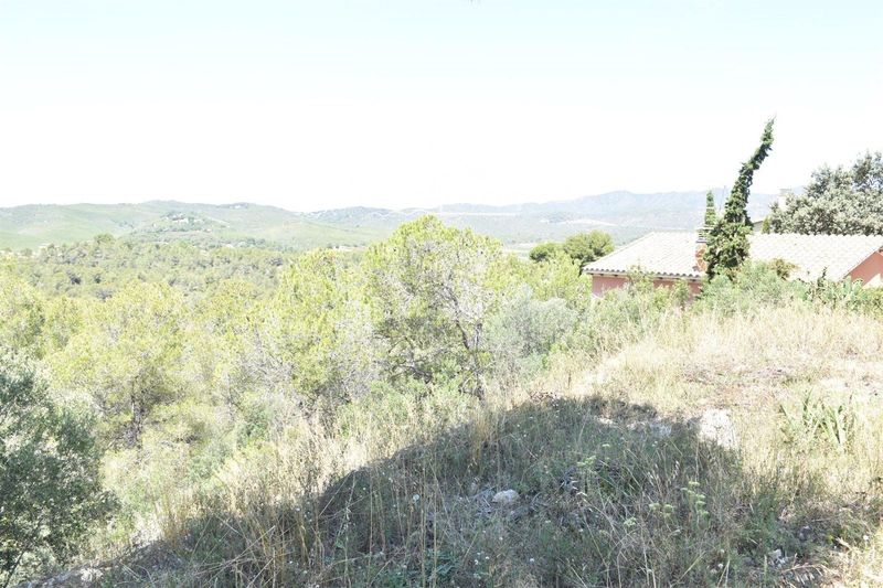 Parcelle en vente La Bisbal del Penedes, Tarragona. Ref: 2373. Finques Vicenç