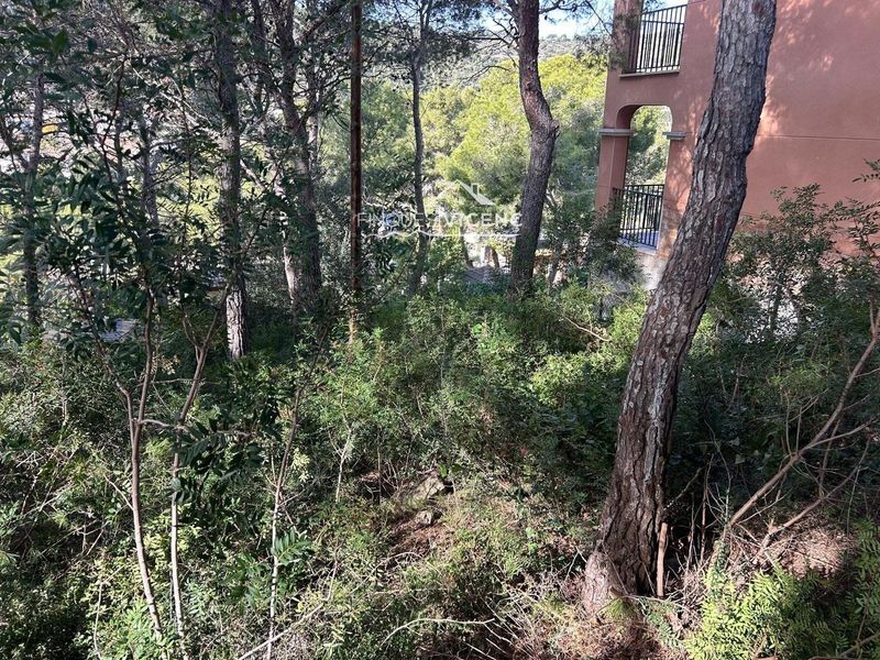 Parcelle en vente Segur De Calafell, Tarragona. Ref: 2533. Finques Vicenç
