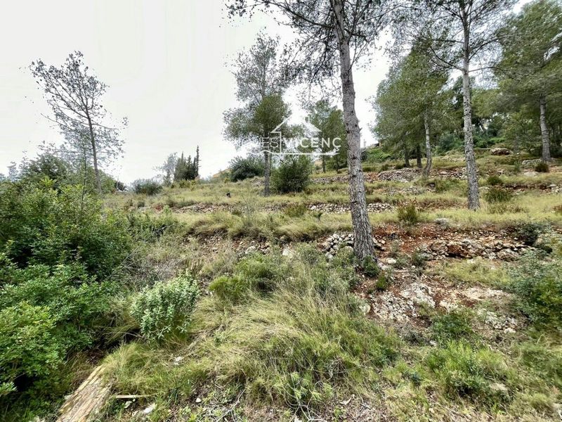 Parcelle en vente La Bisbal del Penedes, Tarragona. Ref: 2682. Finques Vicenç