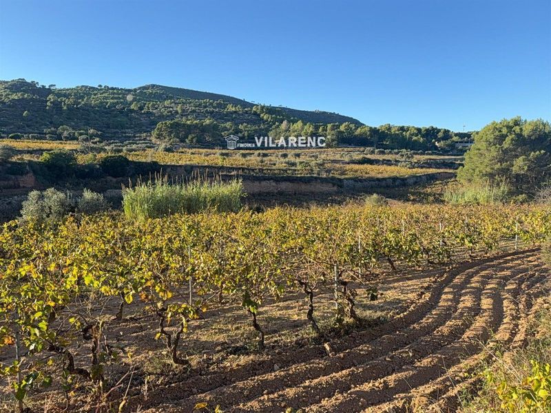 Parcela en venta Albinyana, Tarragona. Ref: 1682. Finques Vilarenc