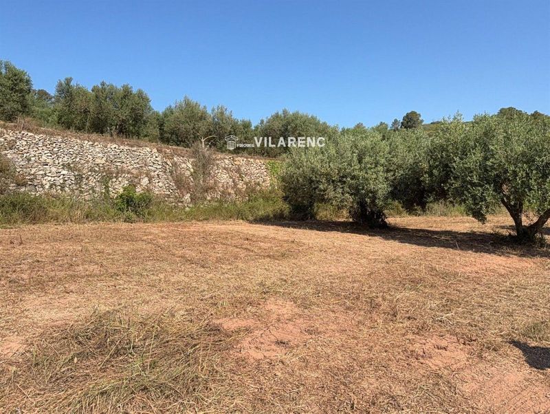 Parcela en venta La Pobla de Montornes, Tarragona. Ref: 1687. Finques Vilarenc