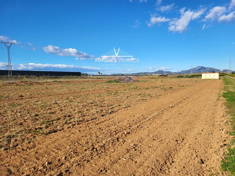 Parcela en venta Vinaròs, Castellón. Ref: 1050. Finques Vinaròs