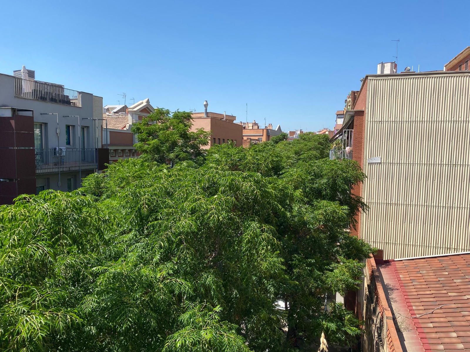 Schöne Wohnung in La Sagrera - Derzeit vermietet - Foto 15