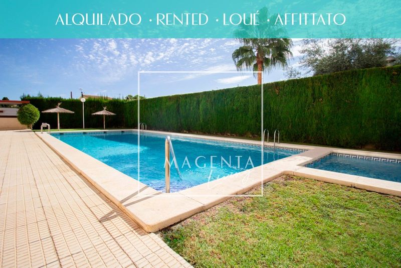 Appartement  à louer Alicante/Alacant, Alicante. Ref: 1101. Magenta Living