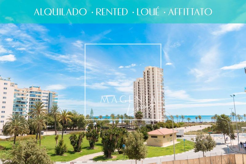 Appartement  à louer Alicante/Alacant, Alicante. Ref: 1264. Magenta Living