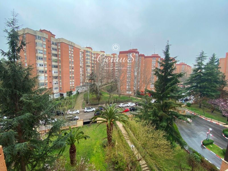 Piso en alquiler Madrid. Ref: 1010. Genius