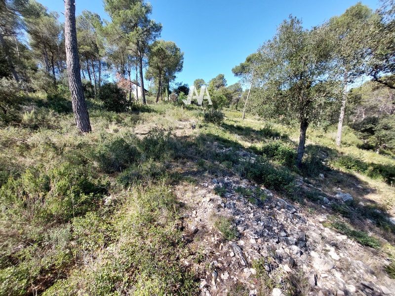 Terreny en venda Pinedes De L