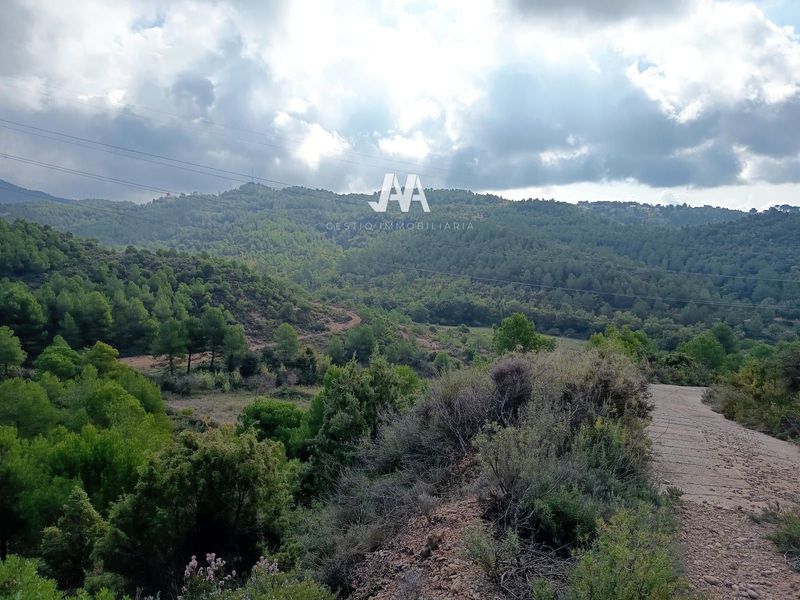 Terreny en venda El Bruc, Barcelona. Ref: 1064. Gestió Immobiliària AA