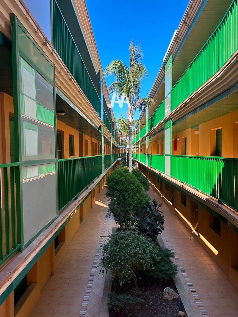Pis en venda Amposta, Tarragona. Ref: 1289. Gestió Immobiliària AA