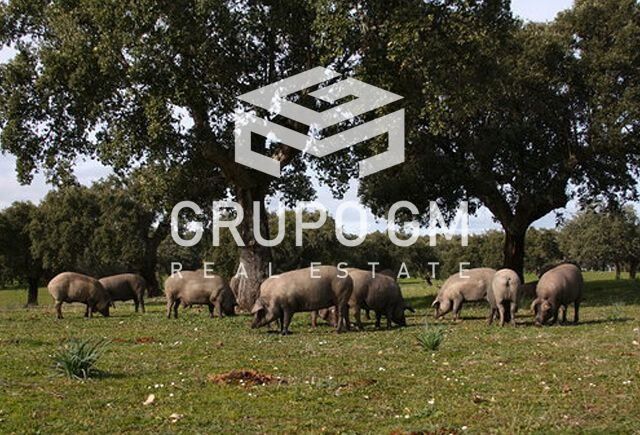 Plot for sale San Vicente De Alcantara, Badajoz. Ref: 1001. Grupo GM Real Estate