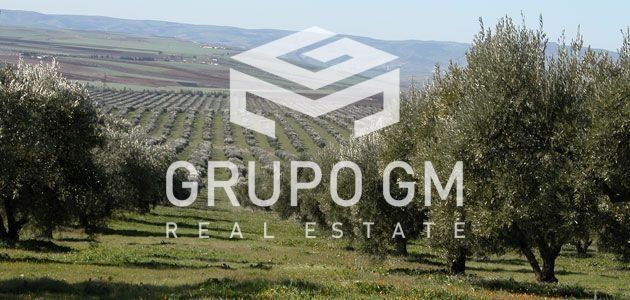 Plot for sale Badajoz. Ref: 1002. Grupo GM Real Estate