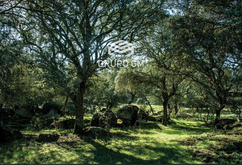 Plot for sale Navas Del Rey, Madrid. Ref: 1013. Grupo GM Real Estate