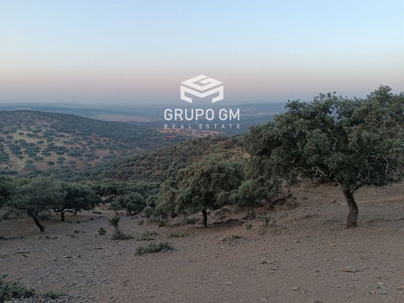Plot for sale Alia, Cáceres. Ref: 1020. Grupo GM Real Estate