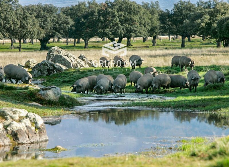 Plot for sale San Vicente De Alcantara, Badajoz. Ref: 1224. Grupo GM Real Estate