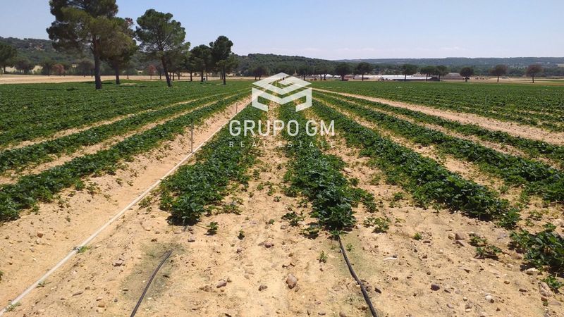 Plot for sale San Esteban Del Molar, Zamora. Ref: 1226. Grupo GM Real Estate