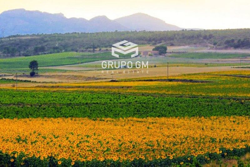 Plot for sale Ontinyent, Valencia. Ref: 1230. Grupo GM Real Estate