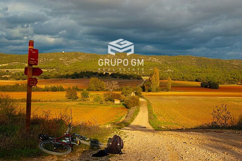 Plot for sale Colliguilla, Cuenca. Ref: 1236. Grupo GM Real Estate