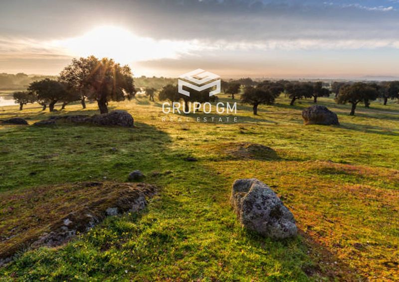 Plot for sale Badajoz. Ref: 1237. Grupo GM Real Estate