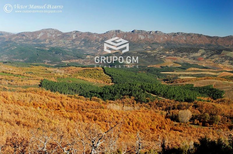 Plot for sale Navalmoral De La Mata, Cáceres. Ref: 1238. Grupo GM Real Estate