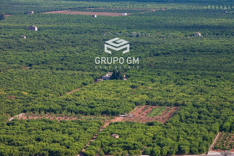 Plot for sale Valencia. Ref: 1240. Grupo GM Real Estate