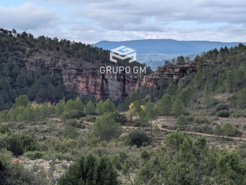 Plot for sale Villar Del Humo, Cuenca. Ref: 1241. Grupo GM Real Estate