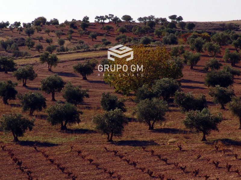 Plot for sale Brea De Tajo, Madrid. Ref: 1248. Grupo GM Real Estate