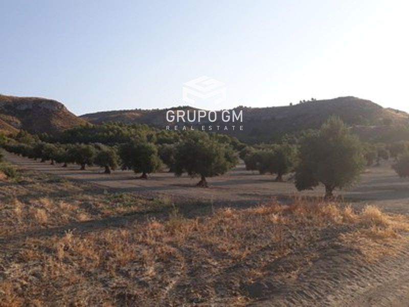 Plot for sale Mazuecos, Guadalajara. Ref: 1249. Grupo GM Real Estate