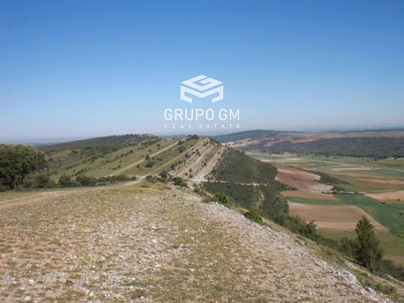 Plot for sale Lerma, Burgos. Ref: 1250. Grupo GM Real Estate