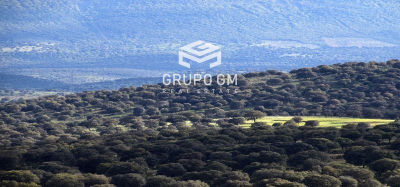 Plot for sale Alamillo, Ciudad Real. Ref: 1251. Grupo GM Real Estate