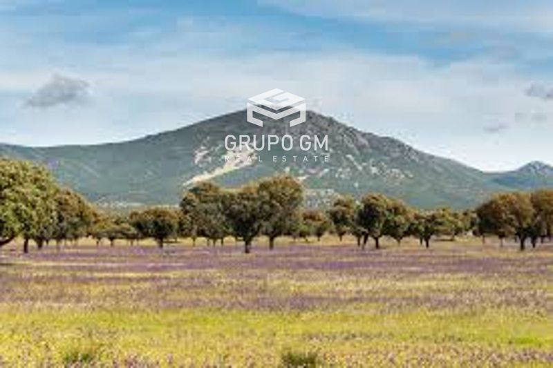 Plot for sale Piedrabuena, Ciudad Real. Ref: 1252. Grupo GM Real Estate