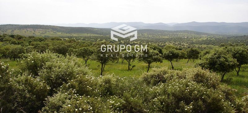 Plot for sale Ciudad Real. Ref: 1253. Grupo GM Real Estate