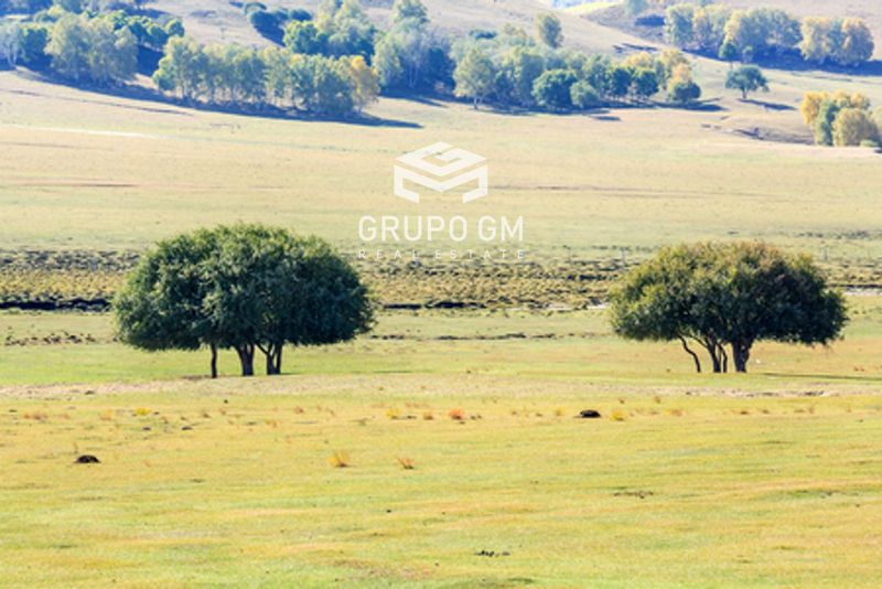 Plot for sale Peraleda Del Zaucejo, Badajoz. Ref: 1297. Grupo GM Real Estate