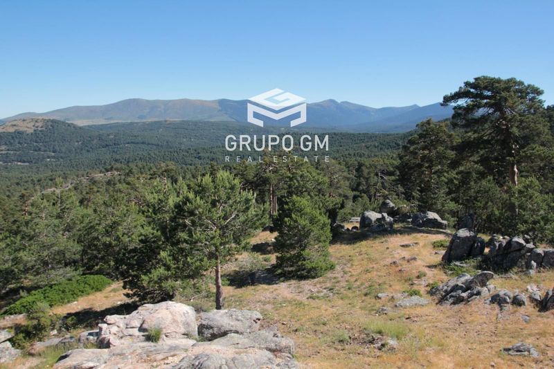 Plot for sale Lozoyuela, Madrid. Ref: 1300. Grupo GM Real Estate