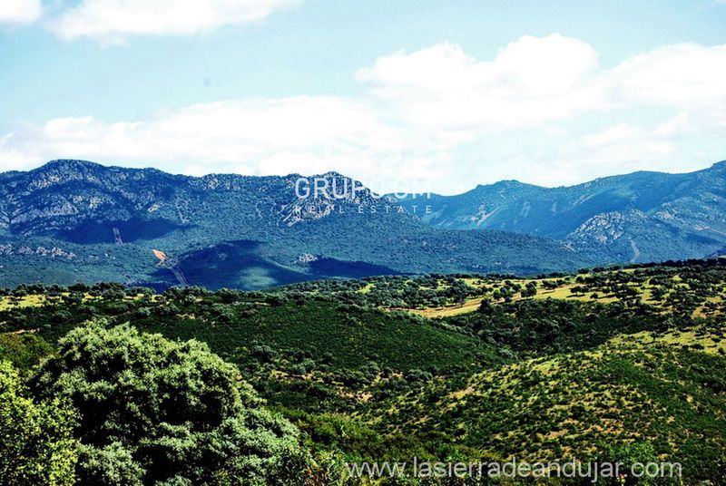 Plot for sale Carolina, La, Jaén. Ref: 1302. Grupo GM Real Estate