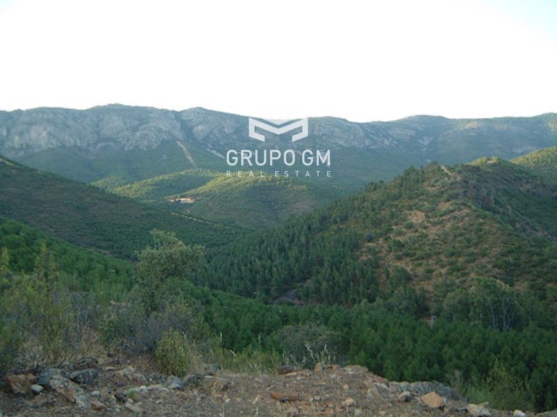 Plot for sale Carolina, La, Jaén. Ref: 1314. Grupo GM Real Estate
