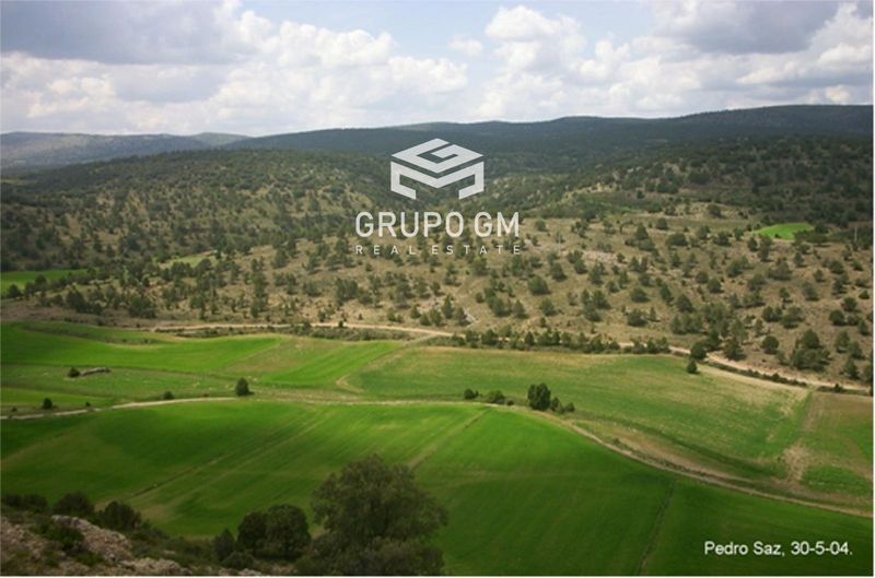 Plot for sale Teruel. Ref: 1315. Grupo GM Real Estate