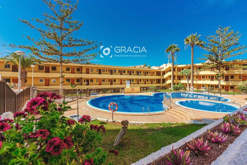 Studio for sale Playa De Los Cristianos, Santa Cruz Tenerife. Ref: 1315. Gracia Real Estate