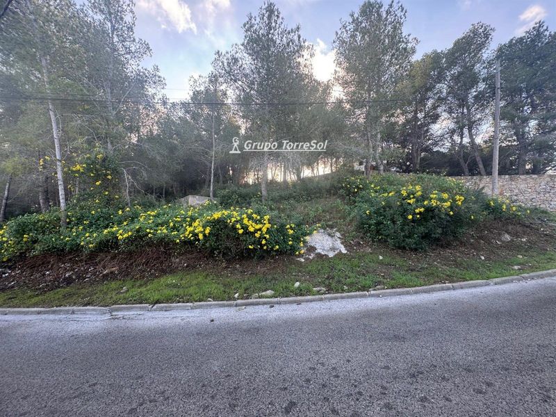 Parcela en venta La Bisbal del Penedes, Tarragona. Ref: 10901. Grupo Torresol